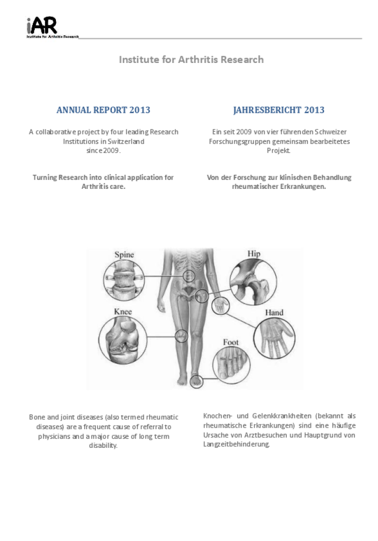 annual report 2013